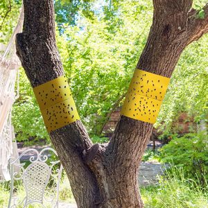 Tamaño personalizado doble cara pegada avispa polilla insectos voladores pegajoso rollo pegamento trampa cinta adhesiva - Product Image 1