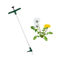 Désherbeur debout de pelle de jardin Durable de haute qualité pour l'élimination des mauvaises herbes et de l'herbe
