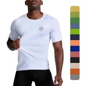 散装舒适新款快干弹力运动衬衫100% 涤纶多色短袖空白平纹t恤