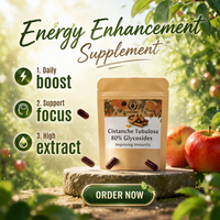 Capsules d'extrait de Cistanche Tubulosa 80% Phytoglycosides 35% Échinacoside 14% Acteoside – Améliore l'immunité – Complément autonome – OEM