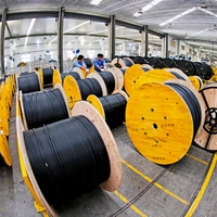 Cable de Fibra Óptica FTTH de 2 Km, GJYXCH, con Refuerzo, 2*5mm