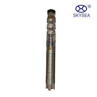 Pompe submersible en acier inoxydable QJ, taille personnalisée, pompe à eau pour puits profond, pour l'irrigation agricole, directement de l'usine
