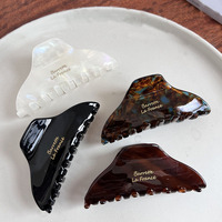 Pinces à cheveux fantaisie françaises de haute qualité en acétate, nœuds mignons en acrylique, pinces requin, ensemble de pinces à cheveux