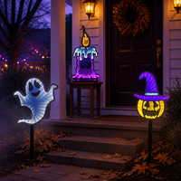 HSH LED Décoration de Jardin d'Halloween : Chapeau de Sorcière, Citrouille Jack-O'-Lantern, Miroir Infini, Alimentation USB