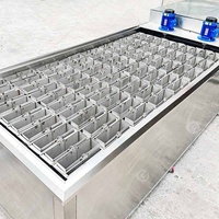 Le bloc de glace de brique de prix de consommation de puissance faible de grande capacité commerciale font la machine en Afrique du Sud de haute qualité