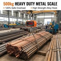 Balance de grue électronique de précision 500 kg avec graduation réglable, tare à distance, calibration numérique, LED, pour laboratoires, OEM