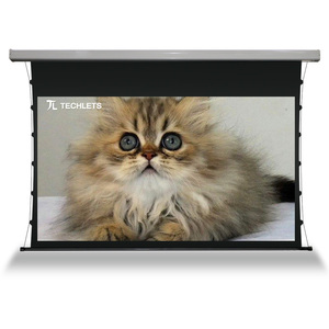 Màn Hình Máy Chiếu Gắn Trần Tự Động 150Inch 200Inch Dành Cho Máy Chiếu Ngắn Chống Ánh Sáng - Product Image 2