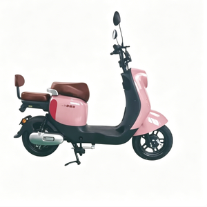 Bicicletta Elettrica con Telaio in Acciaio ad Alto Tenore di Carbonio, Durevole, per Pendolari, Scelta dei Grandi Distributori, Batteria al Piombo-Acido di Qualità - Product Image 3