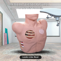 Maniquí de Entrenamiento Simulado para Punción Pleural y Drenaje Médico 465
