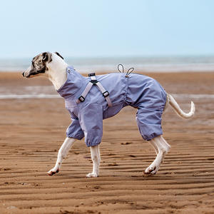 Bacaklar ile yansıtıcı köpek yağmurluk su geçirmez ters lüks büyük Pet giysi Whippet yağmur ceket - Product Image 1