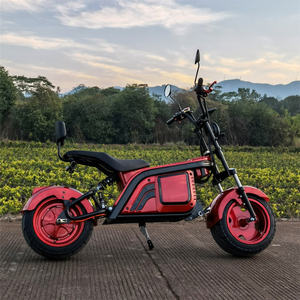 Bicicleta Eléctrica de Carga Rápida I 1500W 1500 750W de Largo Alcance con Diseño Único y Baterías Dobles para Ciudad - Product Image 2