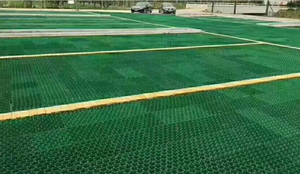 Plastic Grasbestrating Voor Oprit Of Parkeerplaats - Product Image 4