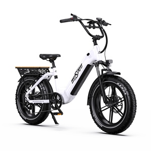 Bicicleta Eléctrica de Diseño Bajo con Cuadro Ancho para Hombres y Mujeres, Neumáticos Anchos KENDA, Frenos de Disco Dobles, Llanta Trasera, Gran Autonomía, 48V - Product Image 1