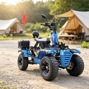 Buggy tout-terrain électrique, batterie lithium 150AH, cadre en alliage d'aluminium, freins à disque, 4x4, capacité de charge de 250 kg, pour routes non publiques - Product Image 1