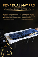 Stimulateur musculaire portable rechargeable pour le corps entier humain et équin, soulagement des douleurs articulaires, machine de massage corporel PEMF