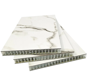 Xps/PU bọt/PP tổ ong lõi sợi thủy tinh gia cố nhựa GRP FRP Sandwich Panel FRP bảng tổng hợp - Product Image 2