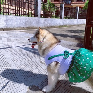 Robe à bretelles à taille haute pour <span class=keywords><strong>chien</strong></span> et chat, motif floral mignon, pour Teddy, Bichon, <span class=keywords><strong>Alaskan</strong></span> <span class=keywords><strong>Malamute</strong></span>, Golden Retriever, Samoyed, printemps/été - Product Image 2