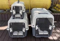 Cage de transport pour animaux de compagnie approuvée par IATA Air China avec porte en fil métallique pour le transport aérien des chats et des chiens, utilisation en extérieur, grande boîte de transport aérien pour chiens