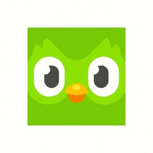 บัญชี Duolingo Pro ระดับพรีเมียม 1 ปี ใช้ได้ทั่วโลก เปิดใช้งานบัญชีของคุณเอง - Product Image 4