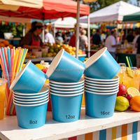 Gobelets en papier jetables écologiques bleu ciel imprimés sur mesure, qualité alimentaire, 8oz 12oz 16oz, prix de gros pour coupes à glace