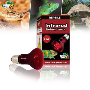 Sıcak satış 75W <span class=keywords><strong>100W</strong></span> kırmızı kızılötesi Basking ısı ampul klasik tarzı kertenkele 2500 cam sürüngen <span class=keywords><strong>UVB</strong></span> için ev hayvanı ürünü saat ömrü lamba - Product Image 4