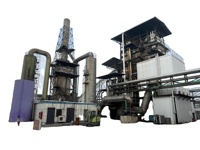 Chaudière à biomasse industrielle de 1000 kg, haute qualité, à copeaux de bois, structure verticale à tubes à eau, nouvelle production de vapeur et d'eau chaude