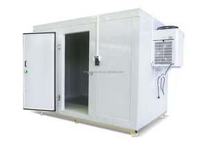 Conteneur frigorifique à bas prix, conception écologique, compresseurs Copeland/Daikin/TECUMSEH, 220V/380V, garantie 1 an, OEM - Product Image 3