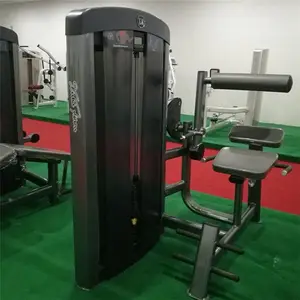 Xinruifitness máquina de construção corporal de extensão traseira equipamento de fitness comercial
