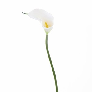 Fleur artificielle de lys calla en PVC souple, tige moyenne longue, décoration d'intérieur - Product Image 6