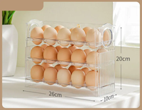 Boîte de rangement pour aliments JX-Egg au design moderne, boîte de rangement pour réfrigérateur, étagère latérale de porte de réfrigérateur, grande capacité, affichage de la date, conservation de la fraîcheur