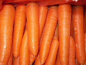 Rau củ đông lạnh bán buôn IQF, cà rốt đông lạnh - Product Image 4