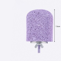 Bâton fixe de perchoirs en bois à surface rugueuse pour perroquet Pigeon Chinchilla oiseaux support d'oiseau avec accessoires à mâcher jouets Pack dans un carton