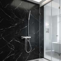 Robinet de douche mural TOPWAY à poignée unique, mélangeur eau chaude et froide, chromé SS304 avec bec