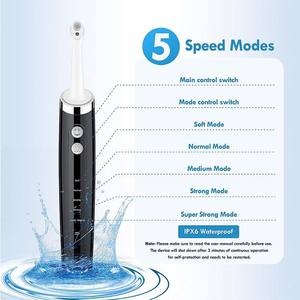 Machine à polir les dents à usage domestique, polisseur électrique portable rechargeable avec 3 pâtes, 5 têtes de brosse, composants en plastique - Product Image 5