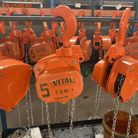 Prix usine 2T 3m palan à chaîne manuel palan à chaîne VITAL palan à chaîne manuel Construction palan de levage