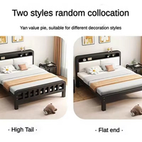Lits modernes simples en métal double taille Queen Prix de gros Meubles de chambre à coucher Gain de place en acier inoxydable Logement locatif Fer