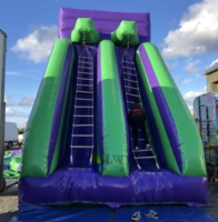 Jeux de sport d'escalade à double échelle gonflable en plein air pour adultes