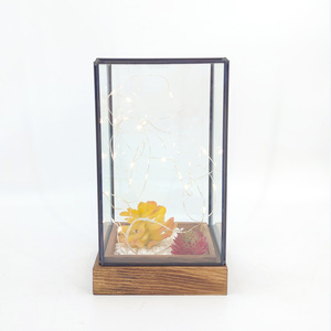 Terrario Geométrico de Vidrio en Forma de Pentágono <span class=keywords><strong>Grande</strong></span> para Plantas, Adornos para <span class=keywords><strong>Decoración</strong></span> de Interiores, Hogar, Jardín y Oficina - Product Image 6