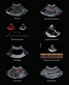 Mindray VETUS 7 siêu âm thú y hệ thống giỏ hàng dựa trên hệ thống siêu âm thú y cho ngựa mèo con chó động vật sử dụng - Product Image 3