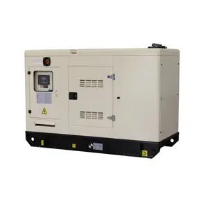 300kva Dieselgenerator Motor Diesel Power Generator Fabrikant Stille Diesel Generator