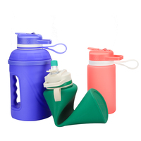 Bouteille d'eau pliable en silicone minimaliste, écologique, sans BPA, portable, 74 oz