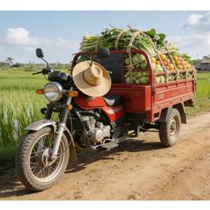 Motocicleta <span class=keywords><strong>de</strong></span> Gasolina Eficiente <span class=keywords><strong>de</strong></span> 200cc con Sidecar, Triciclo Motorizado <span class=keywords><strong>de</strong></span> Carrocería Abierta, Transporte Rural Semiurbano, Alta Capacidad <span class=keywords><strong>de</strong></span> Carga - Product Image 5