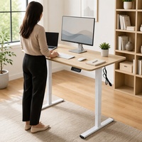 Bureau d'ordinateur électrique réglable en hauteur RongFeng, ergonomique, avec un seul moteur et une surface métallique, pour une utilisation à domicile ou au bureau