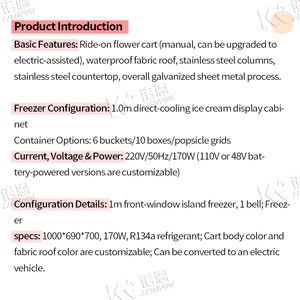 Carrito de Helados Portátil, Triciclo con Congelador, Bicicleta Móvil para Venta de Productos Congelados, Ideal para Pequeños Negocios - Product Image 3