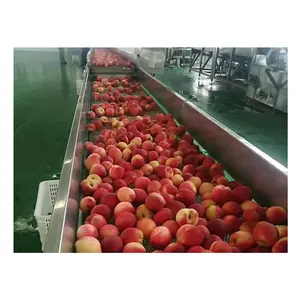 Fruit Puree Production Line For Peach