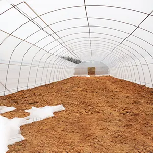 热销农业单隧道温室200微米塑料薄膜覆盖材料出售