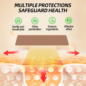 왕테일른 장유 진통 패치 - 근육 및 허리 통증 완화를 위한 원적외선 자기 요법이 포함된 천연 티베트 허브 포뮬러 - Product Image 3