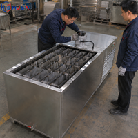 Machine à glace industrielle automatique pour briques de glace, capacité de 1 tonne par jour |   Acier inoxydable économe en énergie pour les marchés de fruits de mer