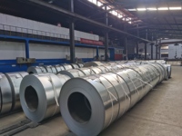 Usine en gros DX51d 0.35mm tôles galvanisées laminées à froid bobines Gi en acier galvanisé