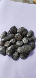 Meilleures pierres précieuses de corail noir fossile naturel, formes variées, certifiées naturelles du Rajasthan pour la fabrication de bijoux, Alba Gems, bon prix - Product Image 2